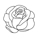 rose 1
